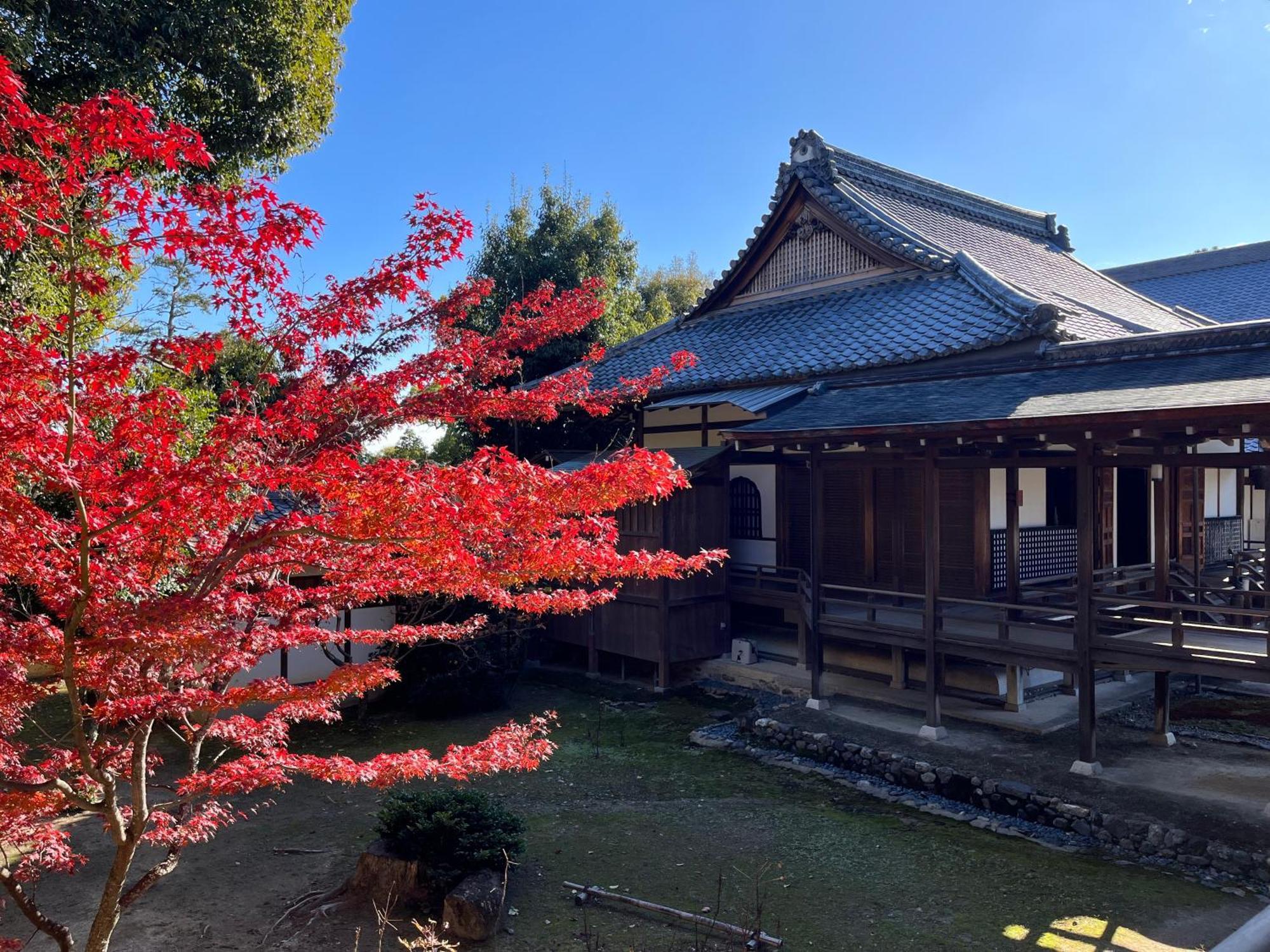 嵐山 天龍の宿 駐車無料 一棟貸切 最大5人 Dragon Legend Arashiyama Central Private Rare Modern Villa Free Parking Max 5Ppl Shimo-saga Εξωτερικό φωτογραφία