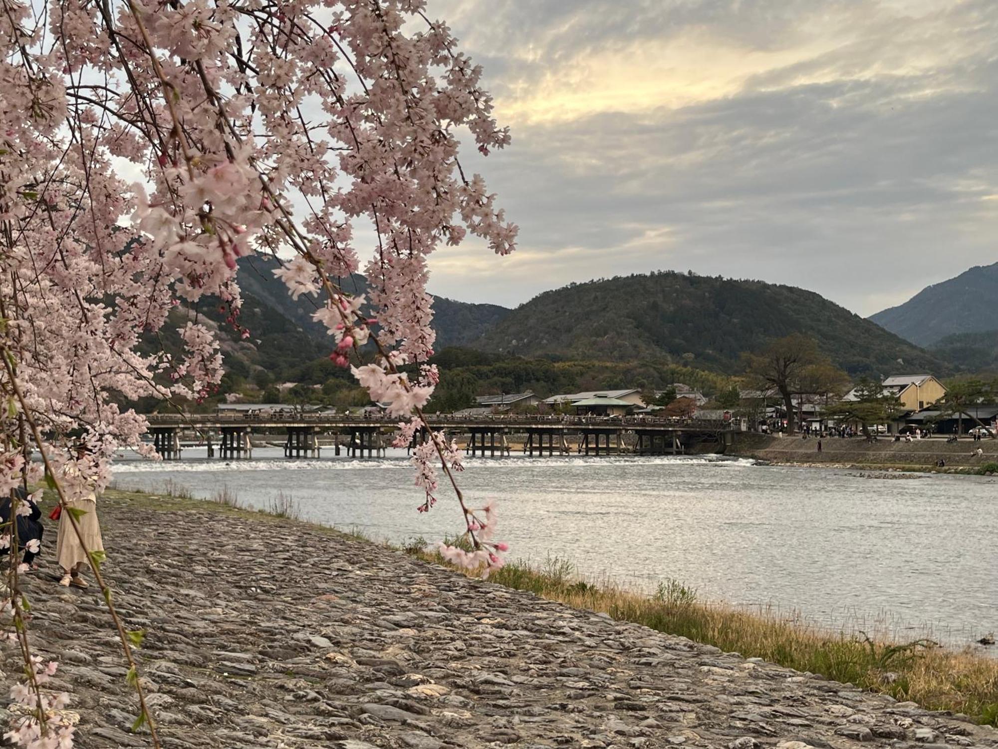嵐山 天龍の宿 駐車無料 一棟貸切 最大5人 Dragon Legend Arashiyama Central Private Rare Modern Villa Free Parking Max 5Ppl Shimo-saga Εξωτερικό φωτογραφία